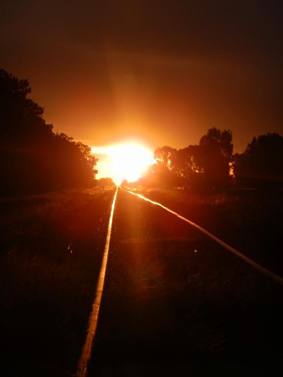 Narrabri Motel And Caravan Park Luaran gambar